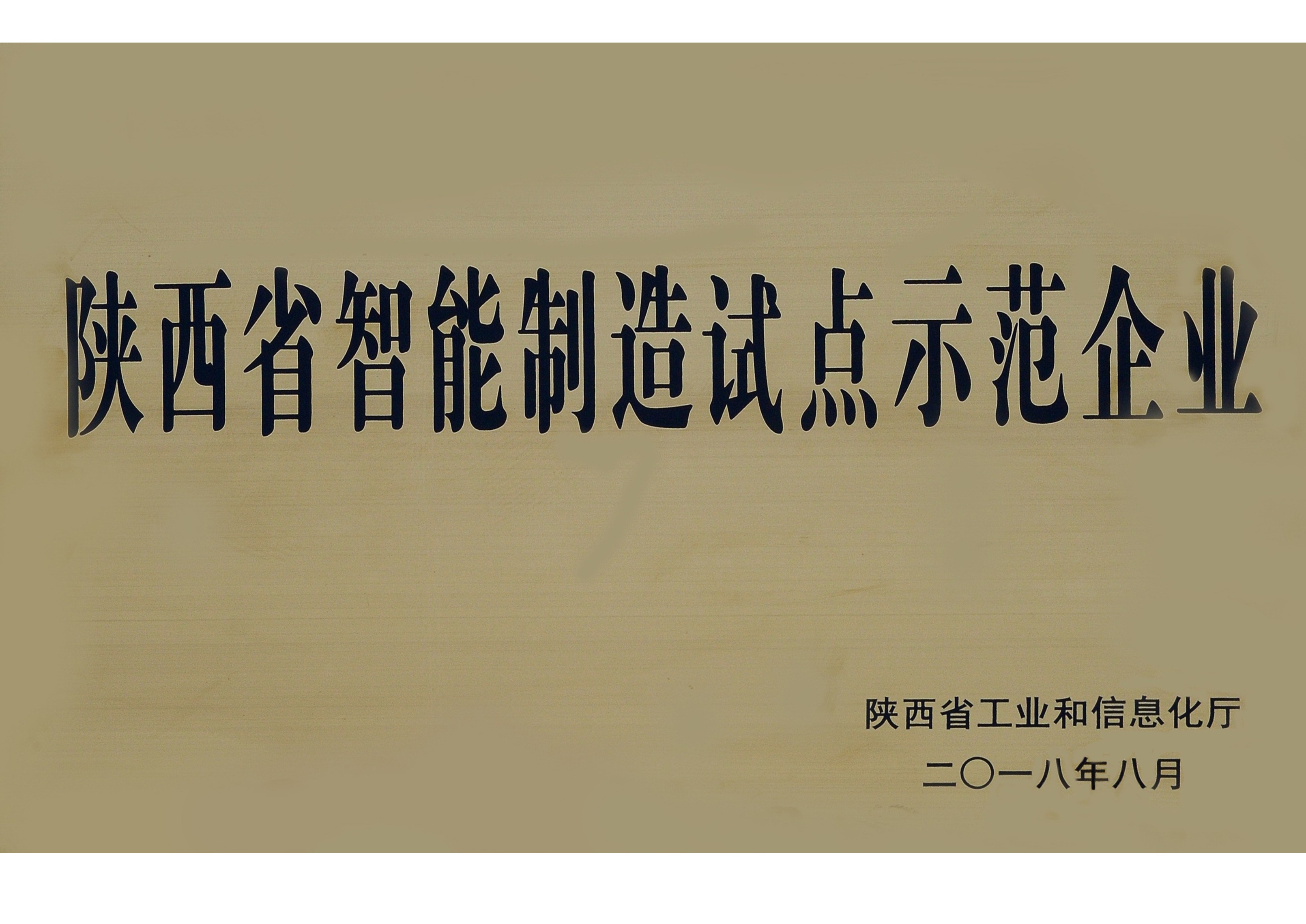 陜西省智能制造試點(diǎn)示范企業(yè)